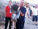 israel,lebanon,war,lebanon,children